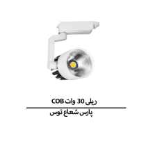 COB ریلی 30 وات